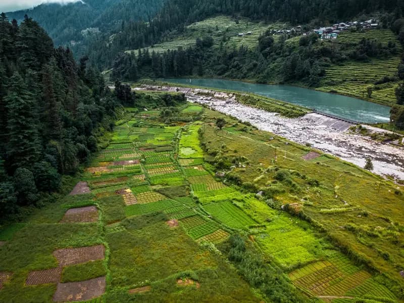 Barot Valley & Uhl River: 3-Day Heritage & Angling Expedition