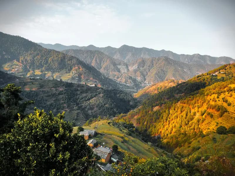 Binsar Wildlife Sanctuary: 3-Day Nature & Himalayan Retreat