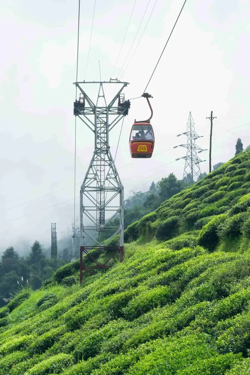6-Day Darjeeling & Sikkim: GI Tea Heritage & Buddhist Corridors - 6 Days Expedition