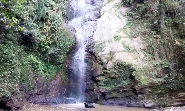 Forest tranquility at Chadwick Falls near Shimla