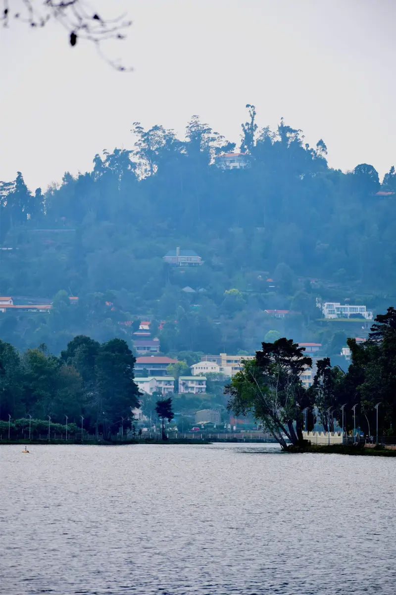3-Day Kodaikanal - 3 Days Princess of Hill Stations & Pine Forest Expedition