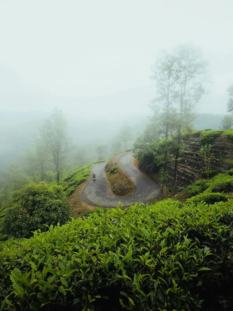 Guide landscape 5