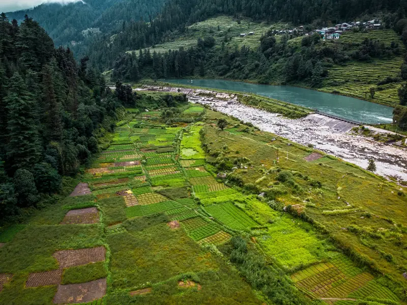 Barot Valley & Uhl River - 3 Days Angling & Trekking Expedition