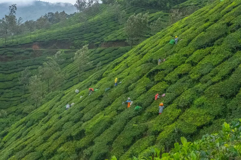 God's Own Kerala