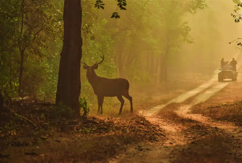Central India
